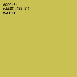 #C9C151 - Wattle Color Image