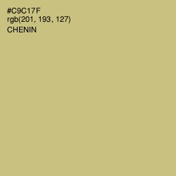 #C9C17F - Chenin Color Image