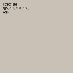 #C9C1B6 - Ash Color Image