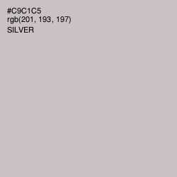 #C9C1C5 - Silver Color Image