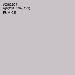 #C9C2C7 - Pumice Color Image