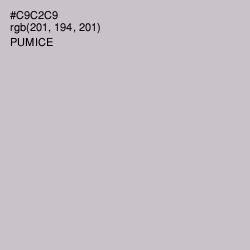 #C9C2C9 - Pumice Color Image