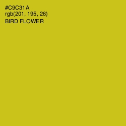 #C9C31A - Bird Flower Color Image