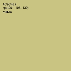#C9C482 - Yuma Color Image