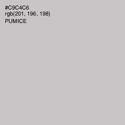 #C9C4C6 - Pumice Color Image