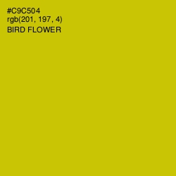 #C9C504 - Bird Flower Color Image