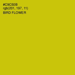 #C9C50B - Bird Flower Color Image