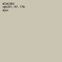 #C9C5B2 - Ash Color Image