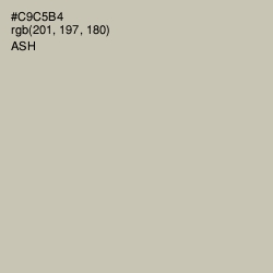 #C9C5B4 - Ash Color Image