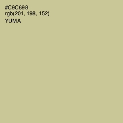 #C9C698 - Yuma Color Image