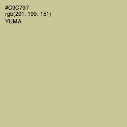 #C9C797 - Yuma Color Image