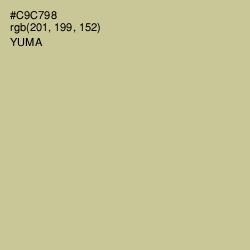 #C9C798 - Yuma Color Image