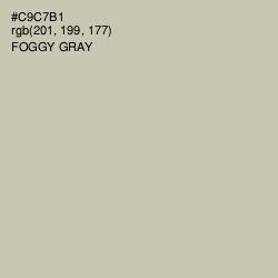 #C9C7B1 - Foggy Gray Color Image