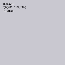 #C9C7CF - Pumice Color Image