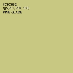 #C9C882 - Pine Glade Color Image