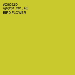 #C9C92D - Bird Flower Color Image
