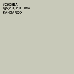 #C9C9BA - Kangaroo Color Image