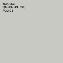 #C9C9C3 - Pumice Color Image