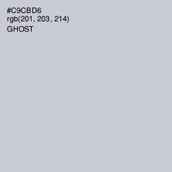 #C9CBD6 - Ghost Color Image