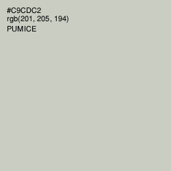 #C9CDC2 - Pumice Color Image