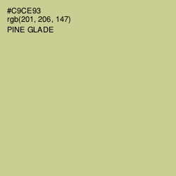 #C9CE93 - Pine Glade Color Image