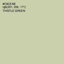 #C9CEAB - Thistle Green Color Image