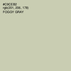 #C9CEB2 - Foggy Gray Color Image