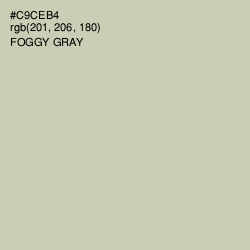 #C9CEB4 - Foggy Gray Color Image