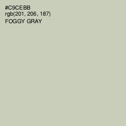 #C9CEBB - Foggy Gray Color Image