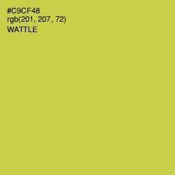 #C9CF48 - Wattle Color Image