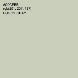 #C9CFBB - Foggy Gray Color Image