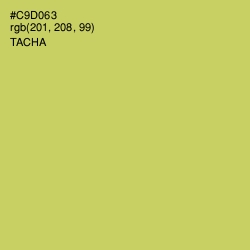 #C9D063 - Tacha Color Image