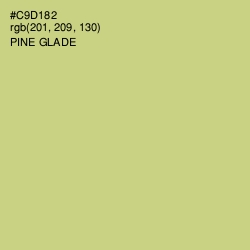 #C9D182 - Pine Glade Color Image