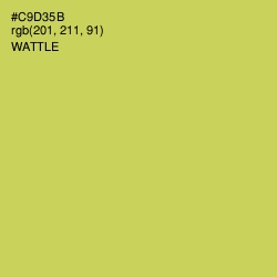 #C9D35B - Wattle Color Image