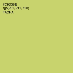 #C9D36E - Tacha Color Image