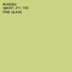 #C9D382 - Pine Glade Color Image