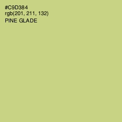 #C9D384 - Pine Glade Color Image