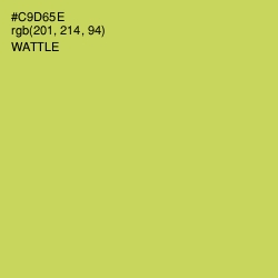 #C9D65E - Wattle Color Image