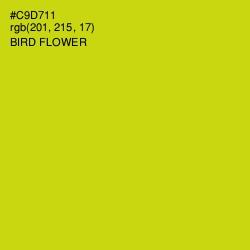 #C9D711 - Bird Flower Color Image