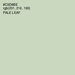 #C9D8BE - Pale Leaf Color Image