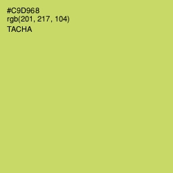 #C9D968 - Tacha Color Image