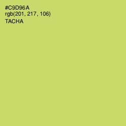#C9D96A - Tacha Color Image