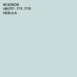 #C9DBDB - Nebula Color Image