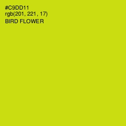 #C9DD11 - Bird Flower Color Image