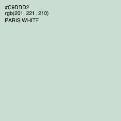 #C9DDD2 - Paris White Color Image