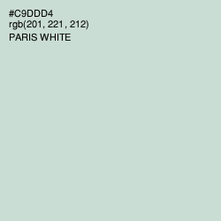 #C9DDD4 - Paris White Color Image