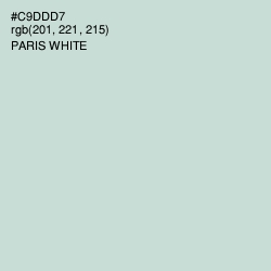 #C9DDD7 - Paris White Color Image