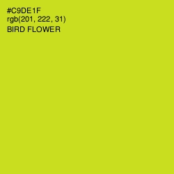 #C9DE1F - Bird Flower Color Image