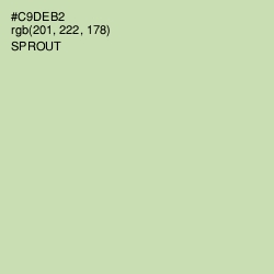 #C9DEB2 - Sprout Color Image