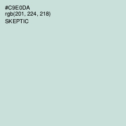 #C9E0DA - Skeptic Color Image